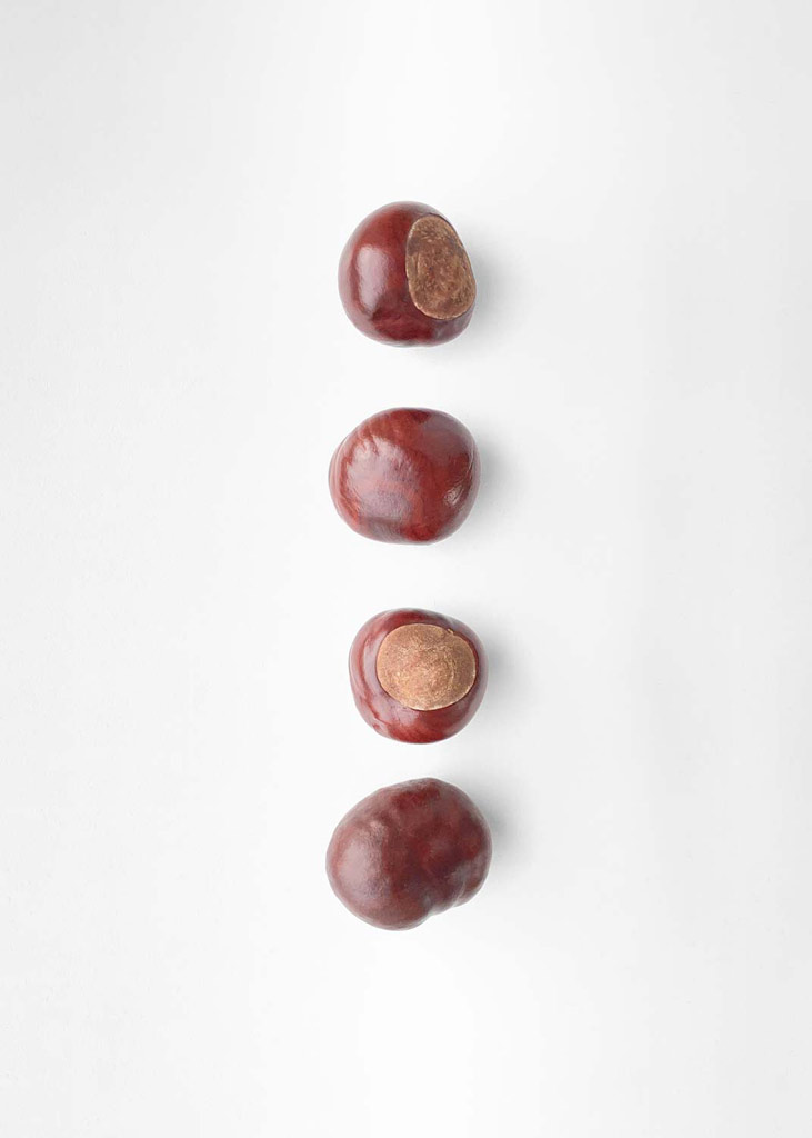 castagne